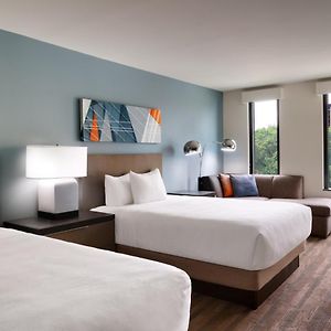 Den Queen Room Two Queen Beds Roll Shower Disability Access